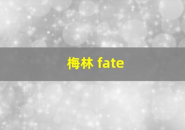 梅林 fate